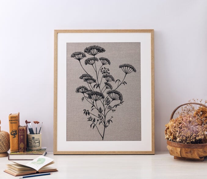 Anthriscus Sylvestris Study A