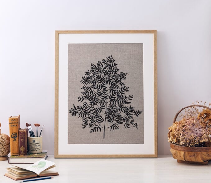 Anthriscus Sylvestris Study B