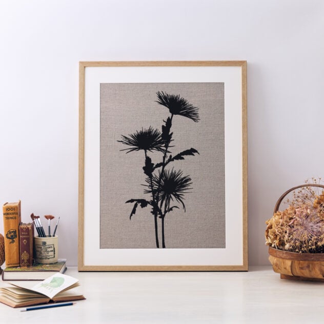 Chrysanthemum Framed