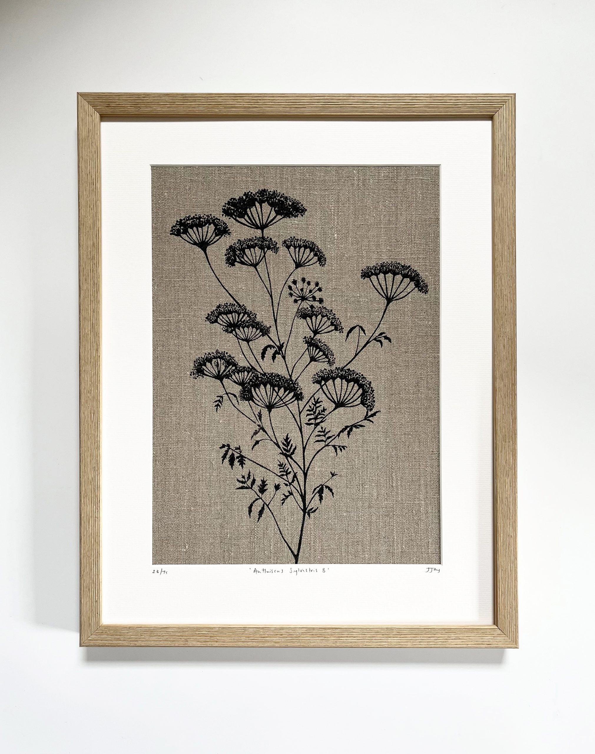 Cow Parskey Framed Low Res