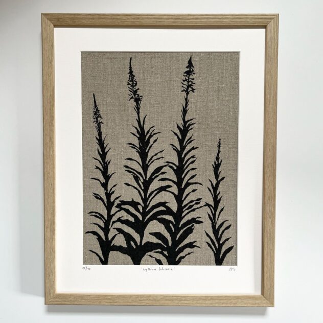 Dactyllis Framed copy