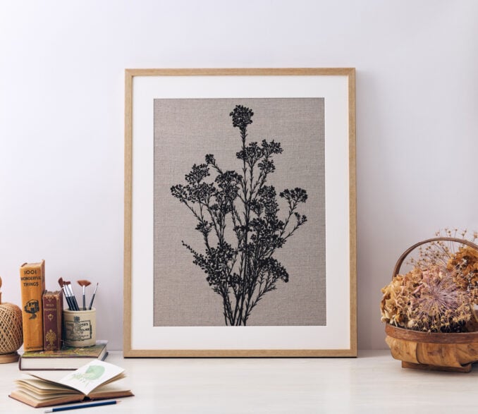 Chamelaucium Unicatum