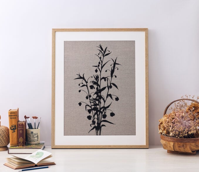 Sandersonia Lantern Lily